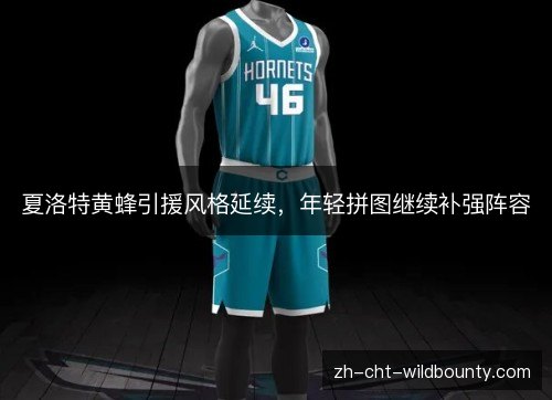 夏洛特黄蜂引援风格延续，年轻拼图继续补强阵容