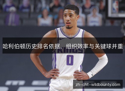 哈利伯顿历史排名依据，组织效率与关键球并重